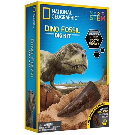 mini dinosaur excavation kit|fossil digging kit for kids.